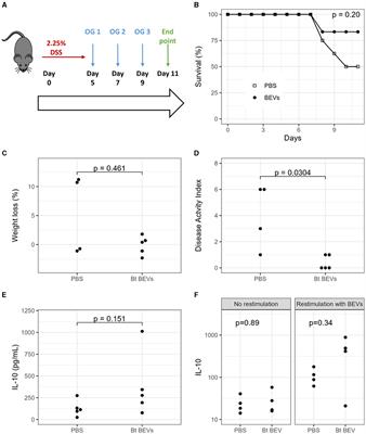 Corrigendum: Extracellular vesicles produced by the human gut commensal bacterium Bacteroides thetaiotaomicron elicit anti-inflammatory responses from innate immune cells